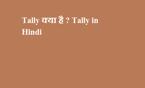 Tally क्या है - Tally in Hindi - Tally Software in Hindi - Tally ki jankari