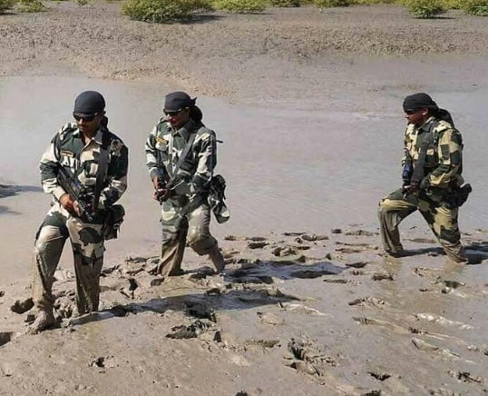 BSF The Creek Crocodile सीमा सुरक्षा बल